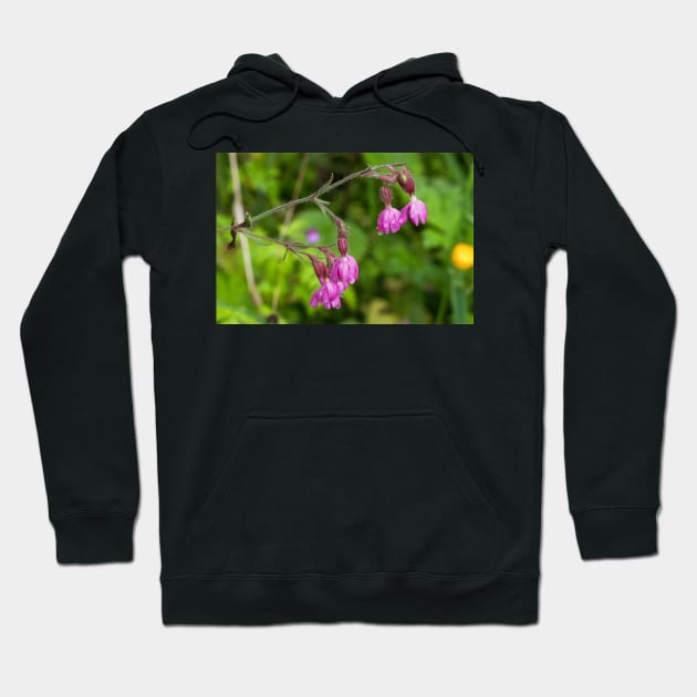 Red Campion after rain Hoodie by Violaman